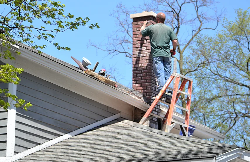 Chimney & Fireplace Inspections Services in Colonia, NJ